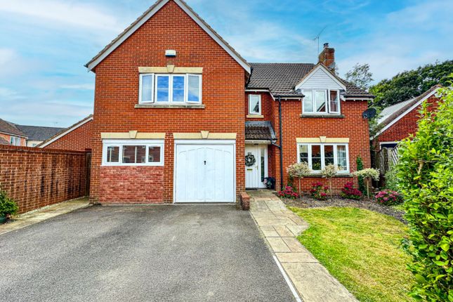 Thumbnail Detached house for sale in Healys Meadow, Cotford St Luke, Taunton