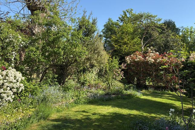 23, Manor Mount, London photo 2