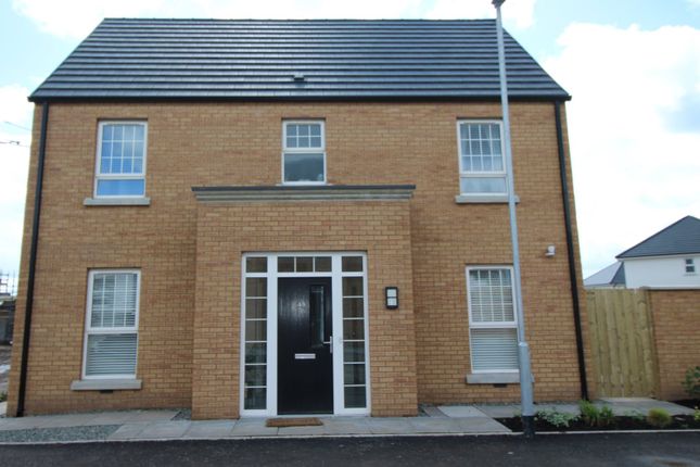 Thumbnail Detached house for sale in Ashbourne Manor, Carrickfergus