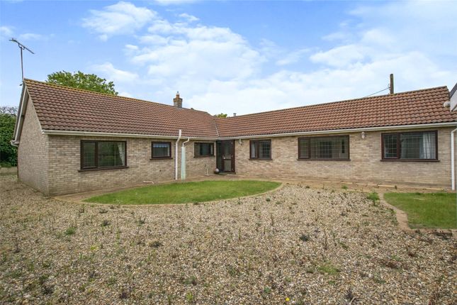 Thumbnail Bungalow for sale in The Avenue, Horning, Norwich, Norfolk