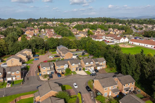Street Aerial Shot