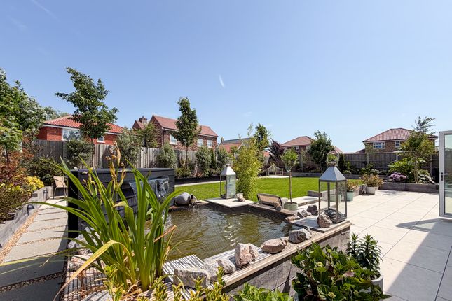 The Manor, 24, Lady Nelson Gardens, Clacton On Sea photo 2