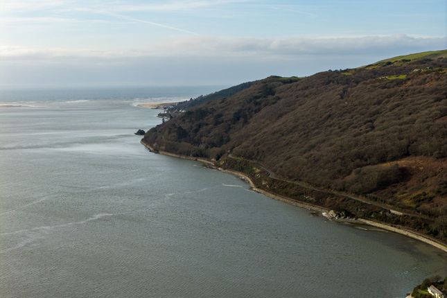 Plas Panteidal Cottage, Aberdovey photo 4