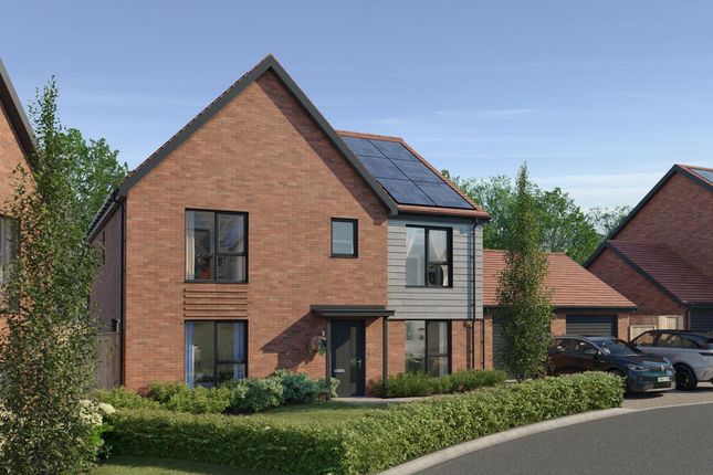 The Turners, Number 64