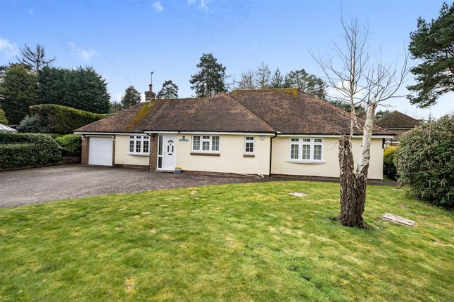 Thumbnail Detached bungalow for sale in Chestnut Close, Storrington