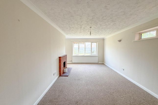 Sturmer, Milton Road, Cambridge photo 4