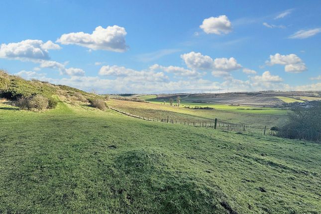 High Hillside Farm, Sunderland Street, Houghton Le Spring photo 2