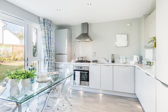 Terraced house for sale in "Coull" at Auburn Locks, Wallyford, Musselburgh