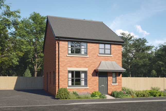Detached house for sale in "The Verbena" at Yew Tree Meadows, Gipsy Lane, Nuneaton