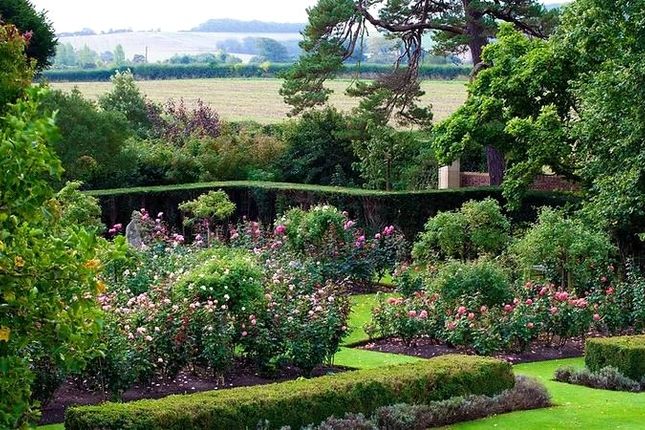 Rose Garden
