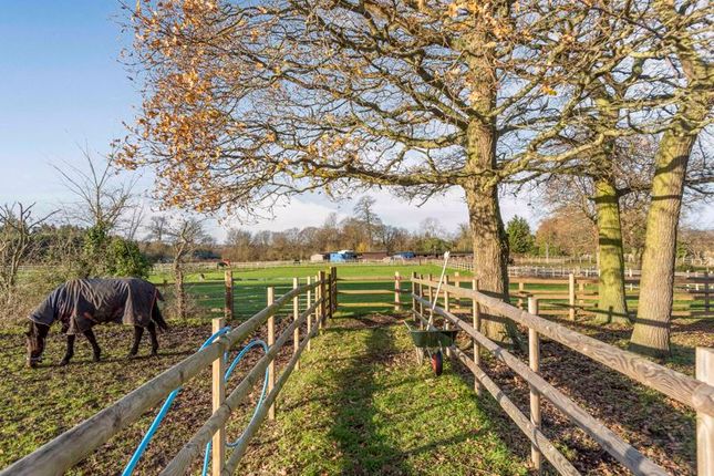 Equestrian property for sale in Cocksure Lane, Sidcup