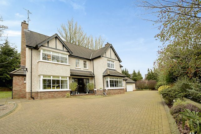 Thumbnail Detached house for sale in The Grange, Antrim, County Antrim