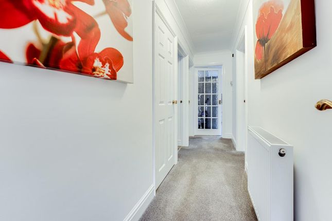 19, Carlton Street, Kettering photo 2