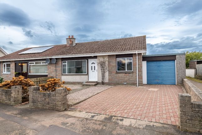 Thumbnail Semi-detached house to rent in Burnett Road, Stonehaven, Aberdeenshire