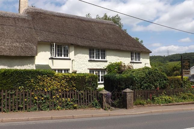 Homes For Sale In Shute Buy Property In Shute Primelocation