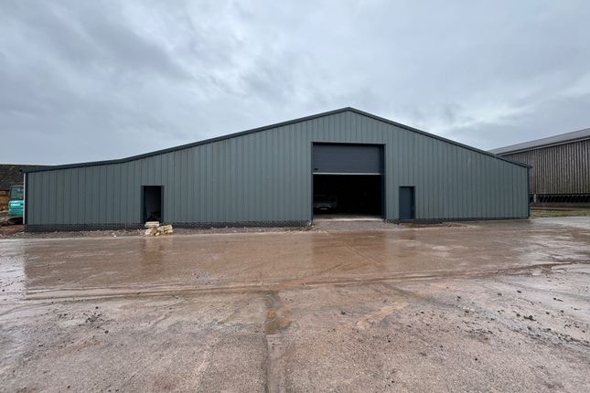 Warehouse to let in Cannington Bridgwater Somerset. 2Lz, Bridgwater