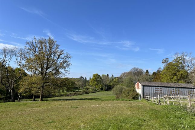 Thumbnail Land for sale in Stoner Hill, Steep, Petersfield
