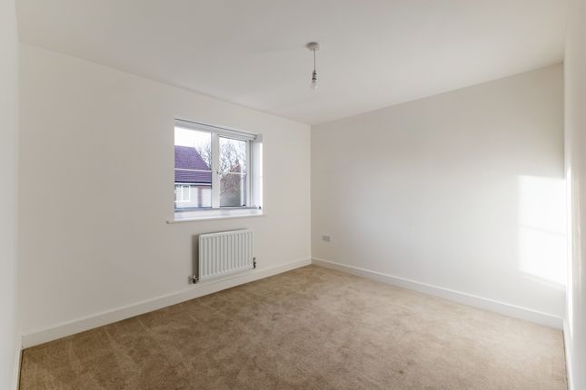 Leaf Living at Stortford Fields, Bishop Stortford, CM23, Bishop Stortford photo 4