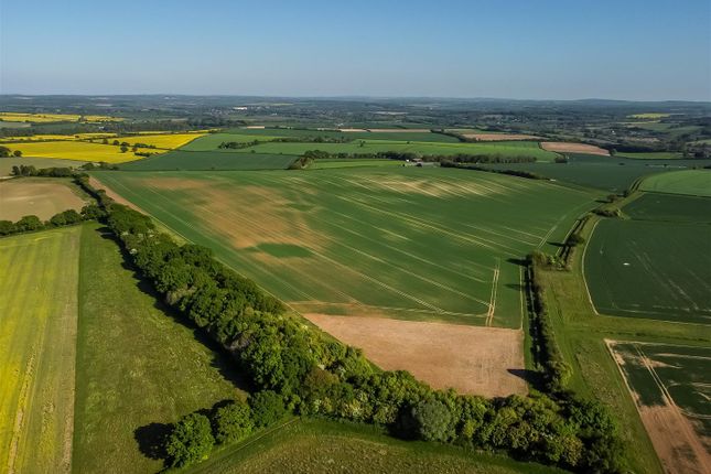 Dji_0860.Jpg