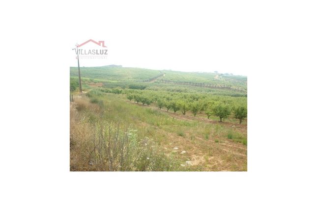 Thumbnail Land for sale in 2510 Óbidos Municipality, Portugal