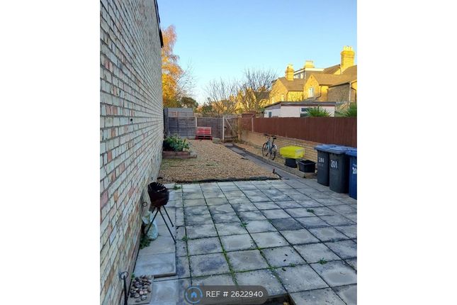 Courtyard Garden