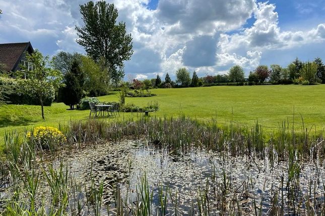 Pond