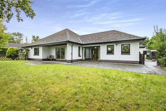 Thumbnail Bungalow for sale in Waungiach, Llechryd, Cardigan, Ceredigion