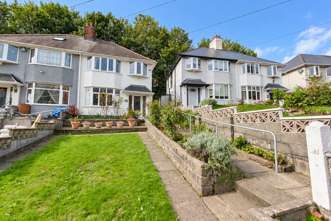 41, Mount Pleasant, Swansea photo 3