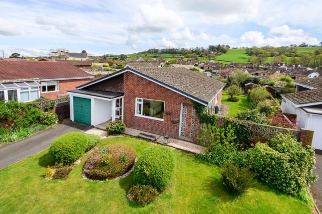 Thumbnail Detached bungalow for sale in The Pines, Honiton, Devon