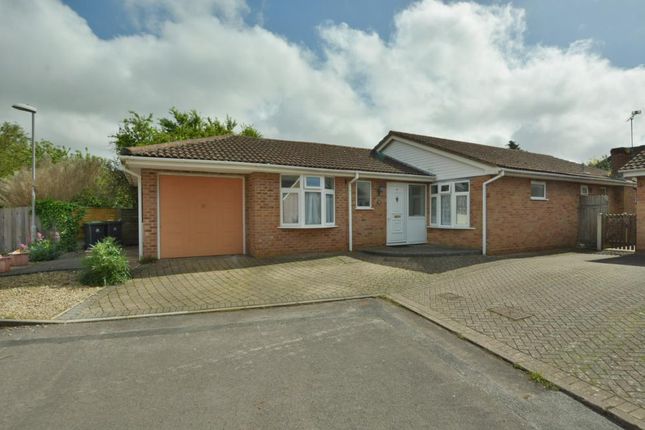 Thumbnail Detached bungalow for sale in Reeves Orchard, Sturminster Marshall