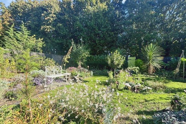 61 New Road, Rye photo 4