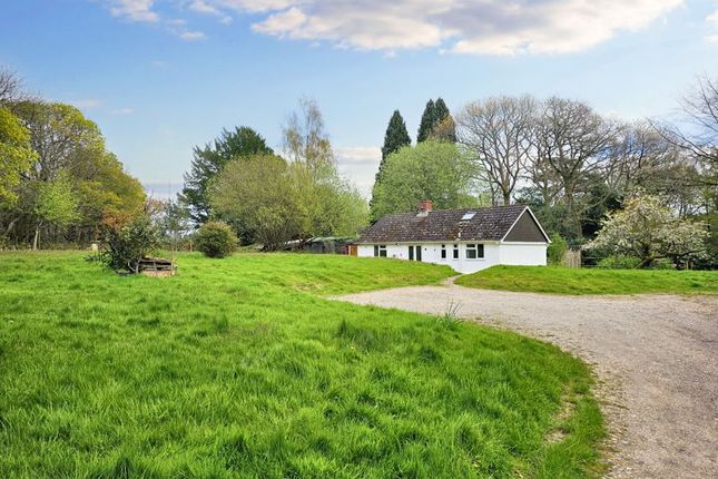 Thumbnail Bungalow to rent in Telegraph Hill, Midhurst