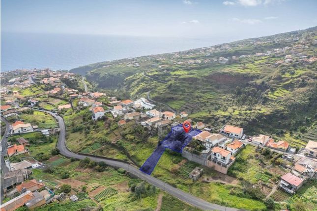 Thumbnail Detached house for sale in Calheta, Calheta (Madeira), Madeira