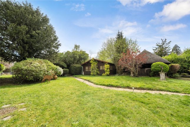 The Thatch Cottage,, London Road, Hook photo 2