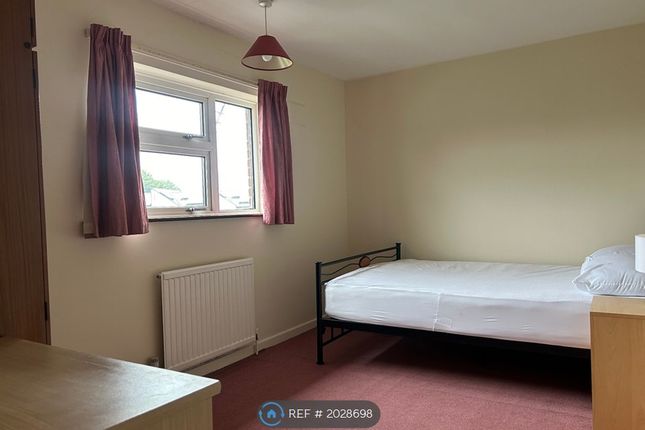 Thumbnail Room to rent in Coronation Avenue, Colchester