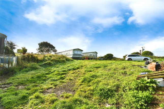 Refael Fach Farm,, Fishguard, Pembrokeshire photo 4