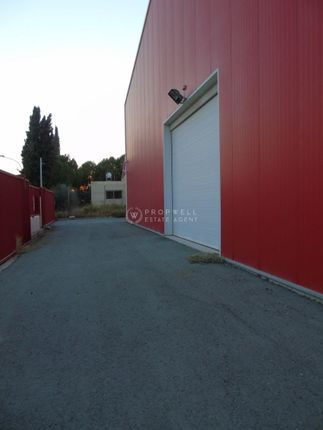 Warehouse for sale in Larnaca, Cyprus