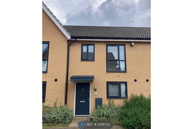 Terraced house to rent in Blackbird Close, Upper Cambourne, Cambridge