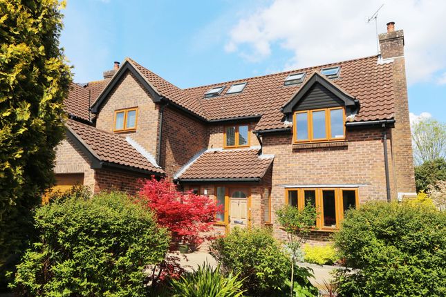 Thumbnail Detached house for sale in Byron Close, Bishops Waltham