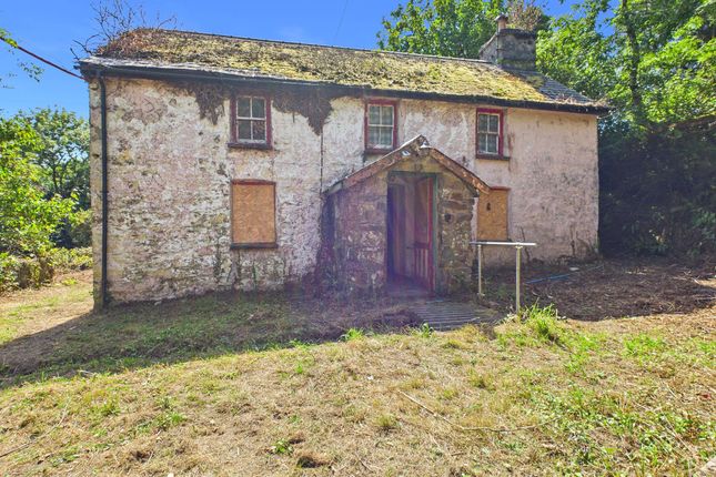 Penrhiw, Newport photo 4