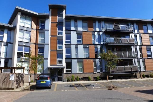 Thumbnail Flat to rent in Howlands Court, Commonwealth Drive, Three Bridges