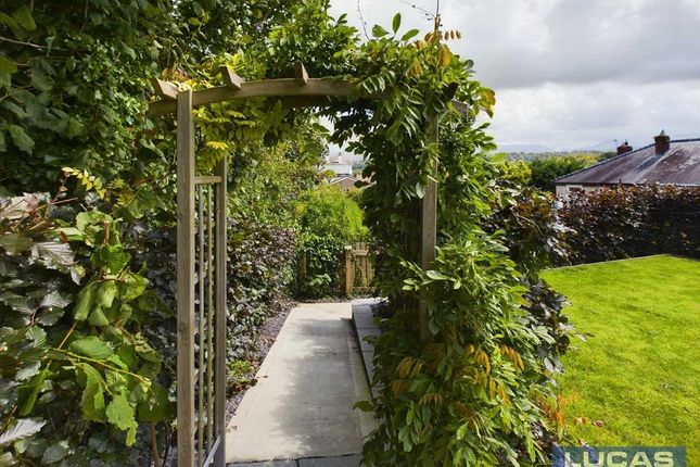 Pergola &amp; Pathway