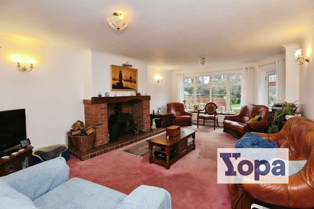 Thalia, Curdridge Lane, Southampton photo 3