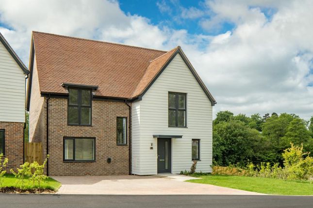 Dandara - Zoopla -