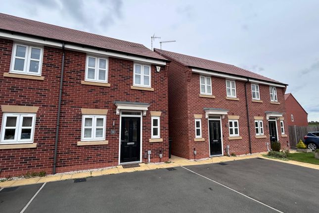 Front &amp; Driveway