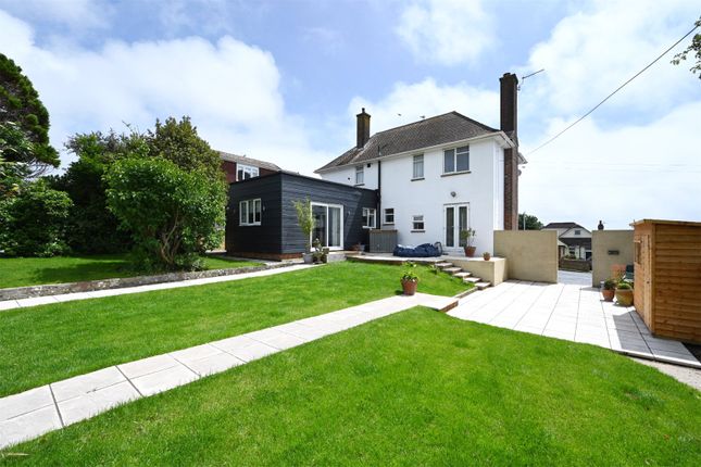 Thumbnail Detached house for sale in Crescent Drive South, Brighton, East Sussex