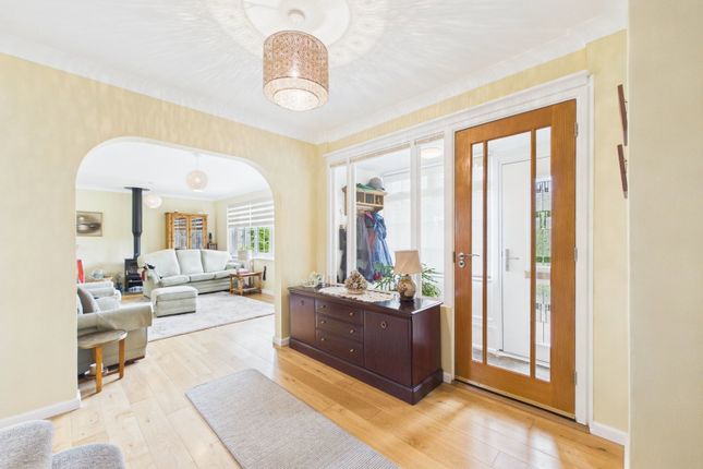 Laurens, Stable Lane, Worthing photo 3