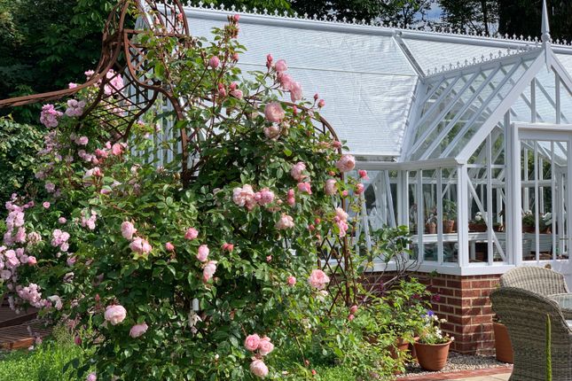 Glasshouse