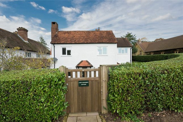 Thumbnail Detached house to rent in Holmbury Road, Ewhurst, Cranleigh, Surrey