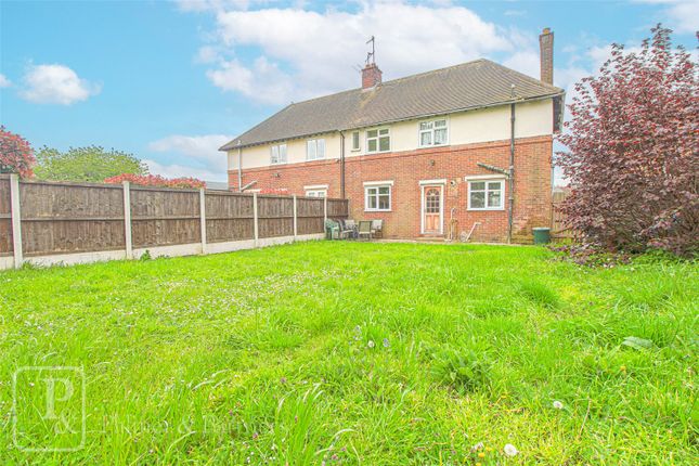 Semi-detached house to rent in Jarmin Road, Colchester, Essex